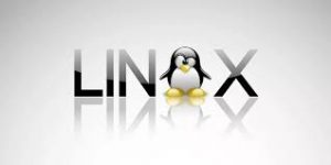 تشخیص حساب کاربری فعال در لینوکس 